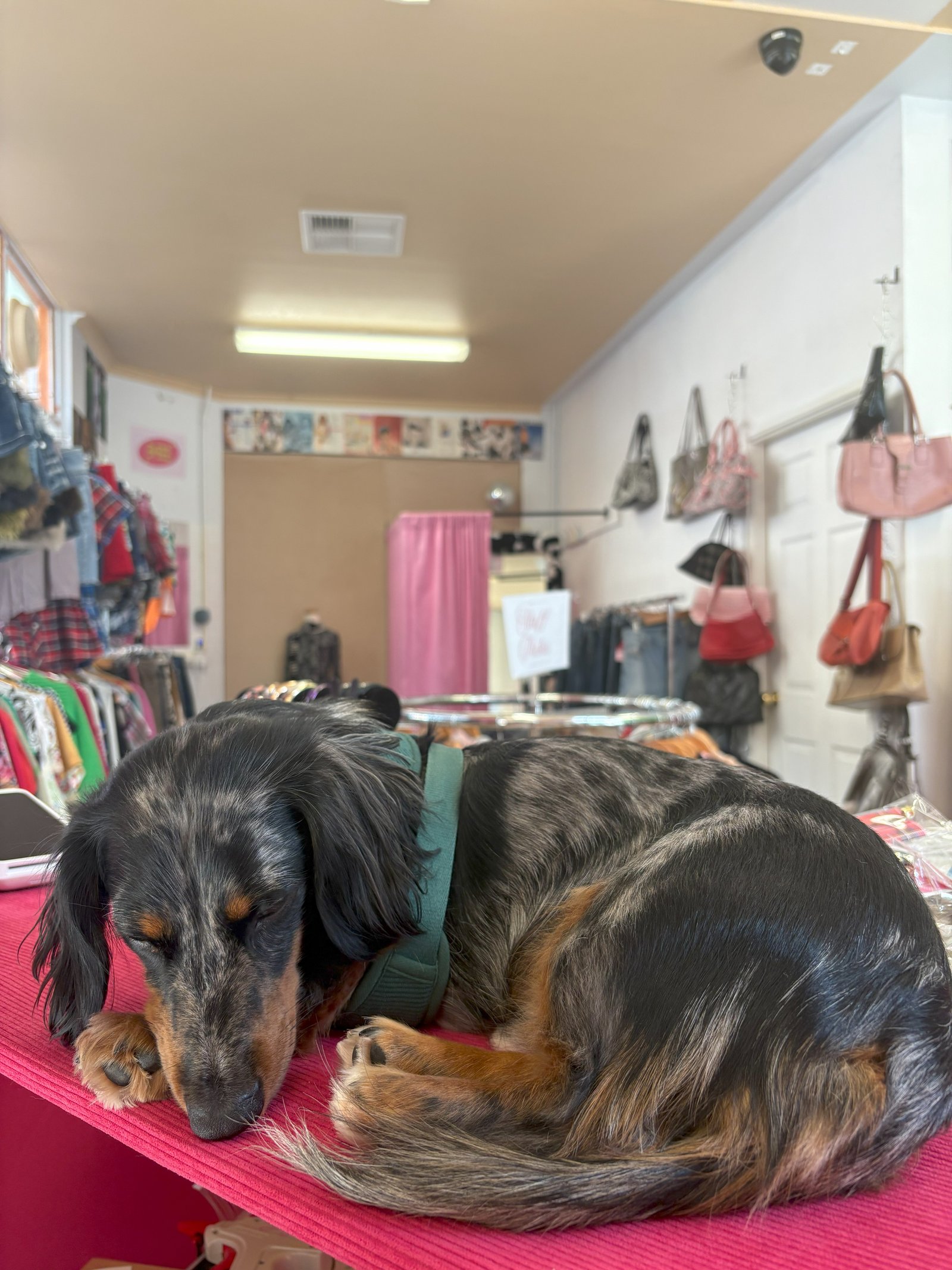 Inside the Fremantle store